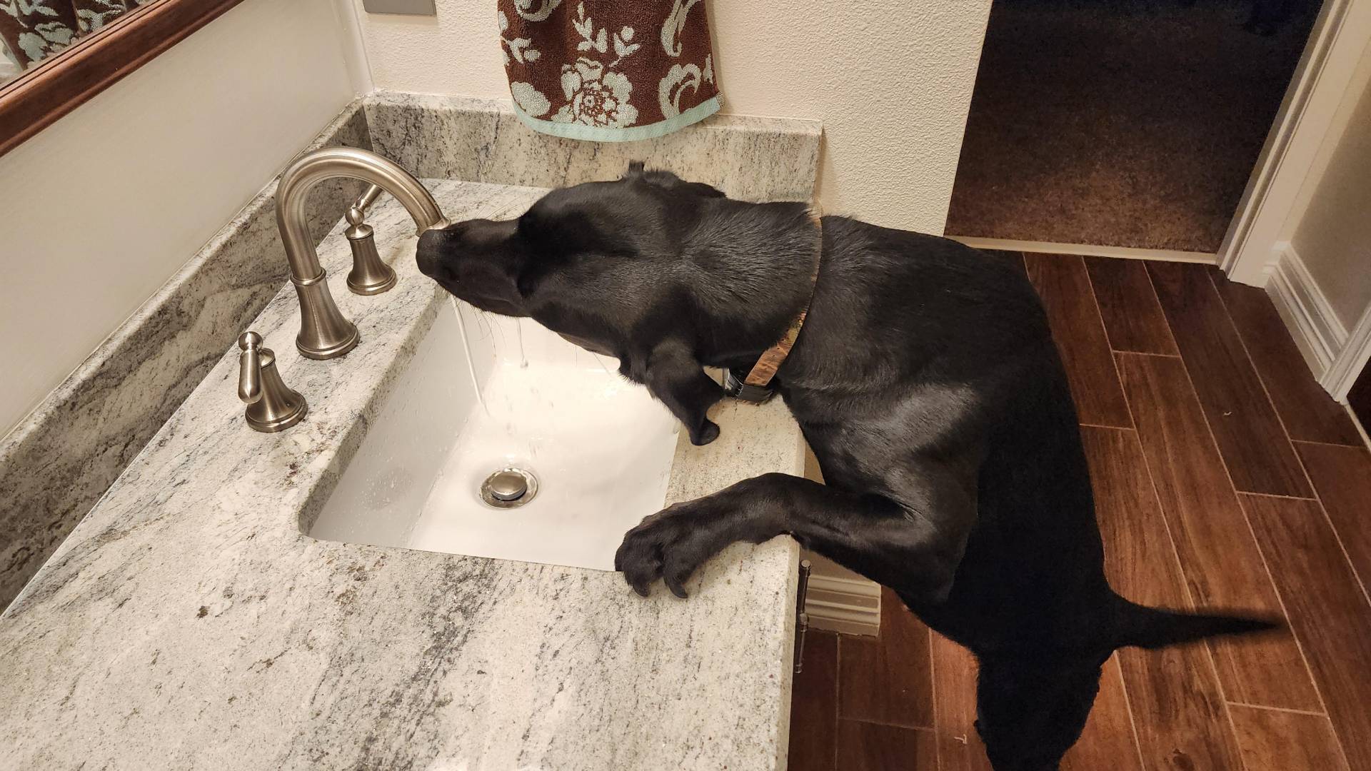 Prime Water Filtration LLC - Tampa Bay Area Florida (3)